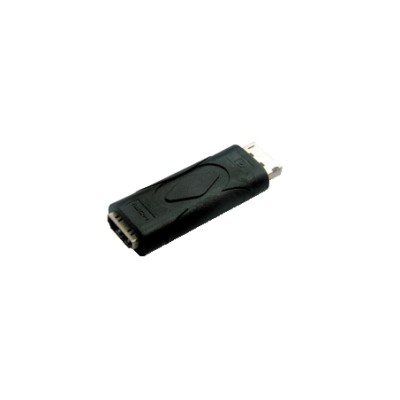 ADATTATORE DISPLAY PORT ++ HDMI